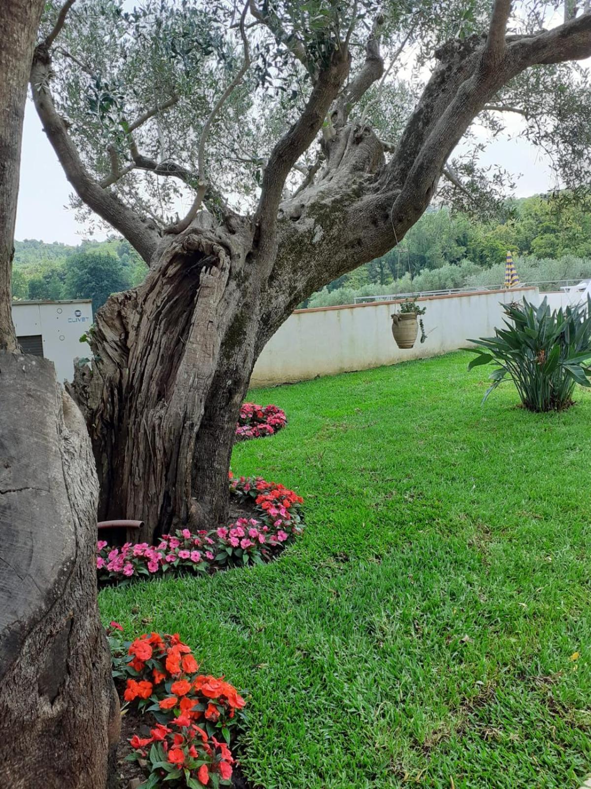 Country house Bel Tempio *